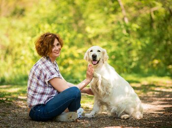 Zlatý retriever Druppi My Joy