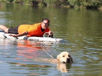 Zlatý retriever MyJoy - vodná záchrana Zlatý retriever MyJoy - vodná záchrana